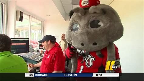 The Psychology of Mascots: Understanding the Impact on Houston Stockings Players